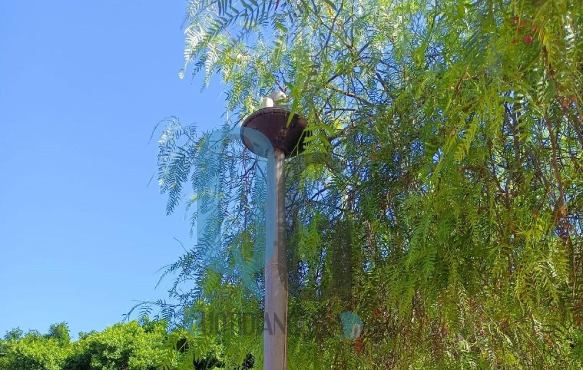 Raid vandalico a Macchitella, illuminazione presa di mira: Greco, "danneggiare è diventato un hobby" - 