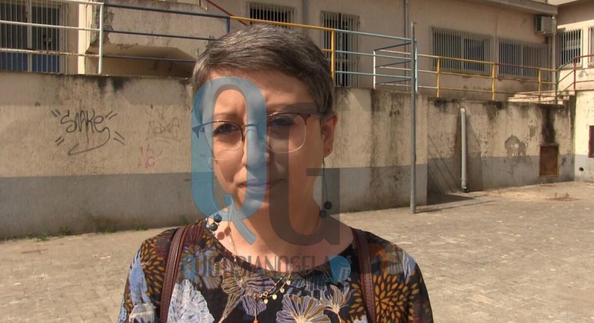 "Greco non ha idea di cosa fare con Macchitella lab", Farruggia: "Centrodestra favorisce l'attendismo" - Il consigliere M5s Virginia Farruggia