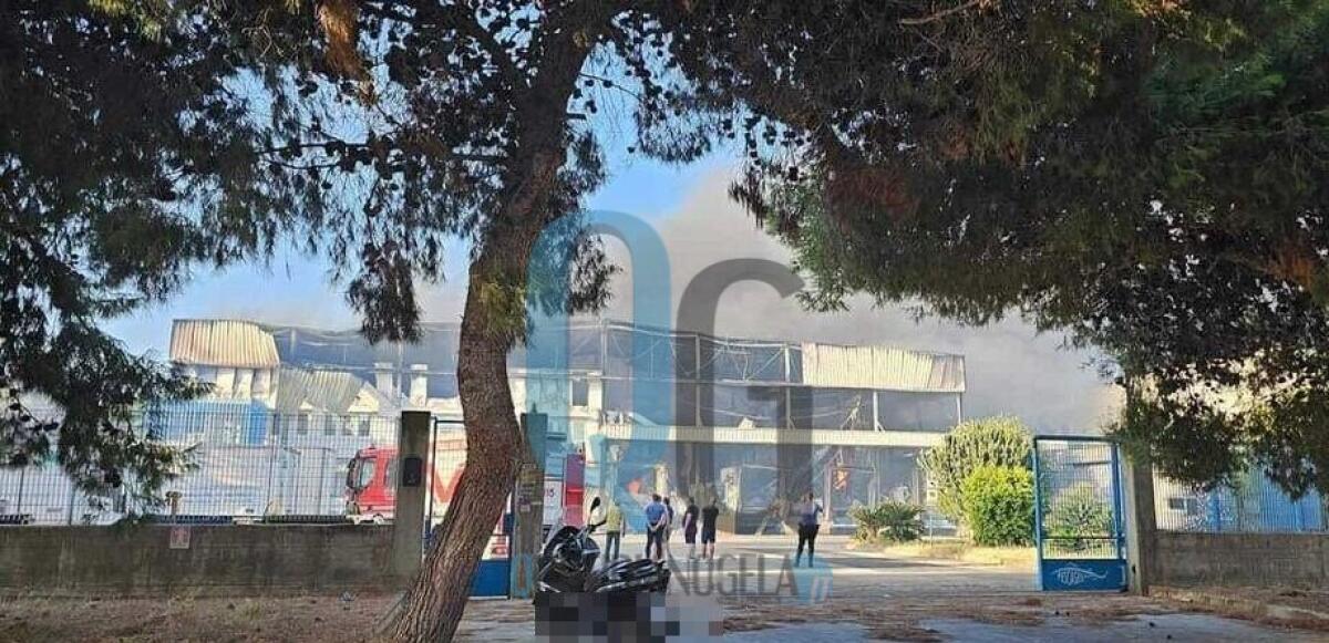 "Imprenditori colpiti da incendio del capannone vadano avanti", Greco: "Irsap e Regione siano presenti" - Il capannone distrutto dalle fiamme