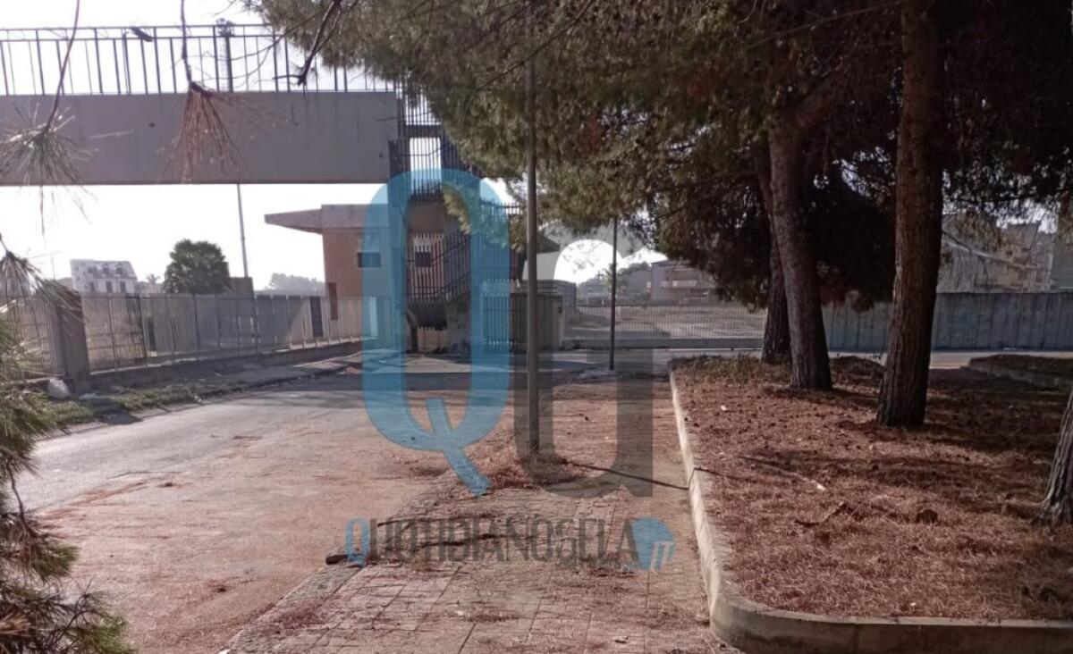 Cumuli di rifiuti nella zona della stazione ferroviaria, effettuati interventi di pulizia - 