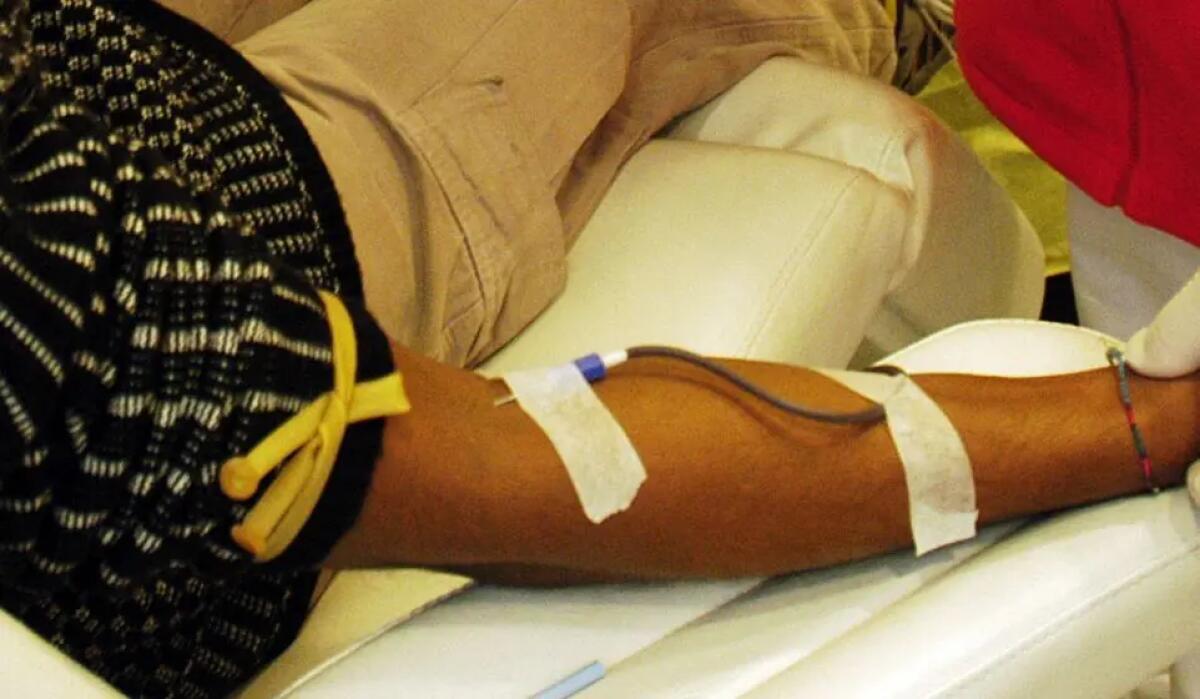 Emergenza plasma, Segato (Aip) “Servono campagne per la donazione” - 