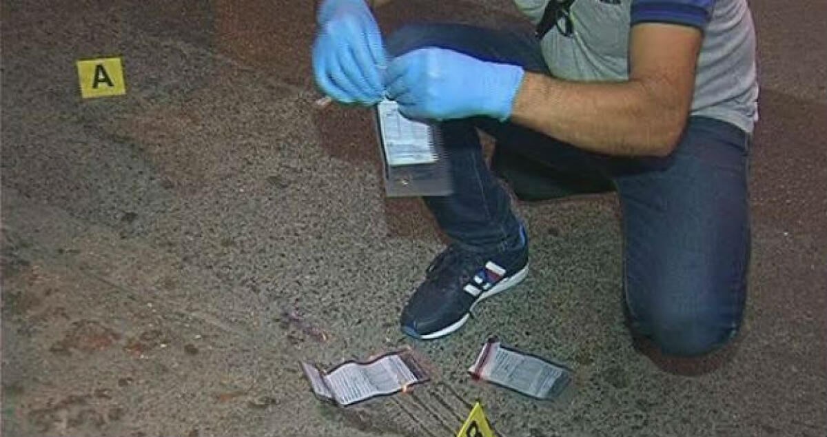 Spari ad Albani Roccella, indagini per ricostruire i fatti - 