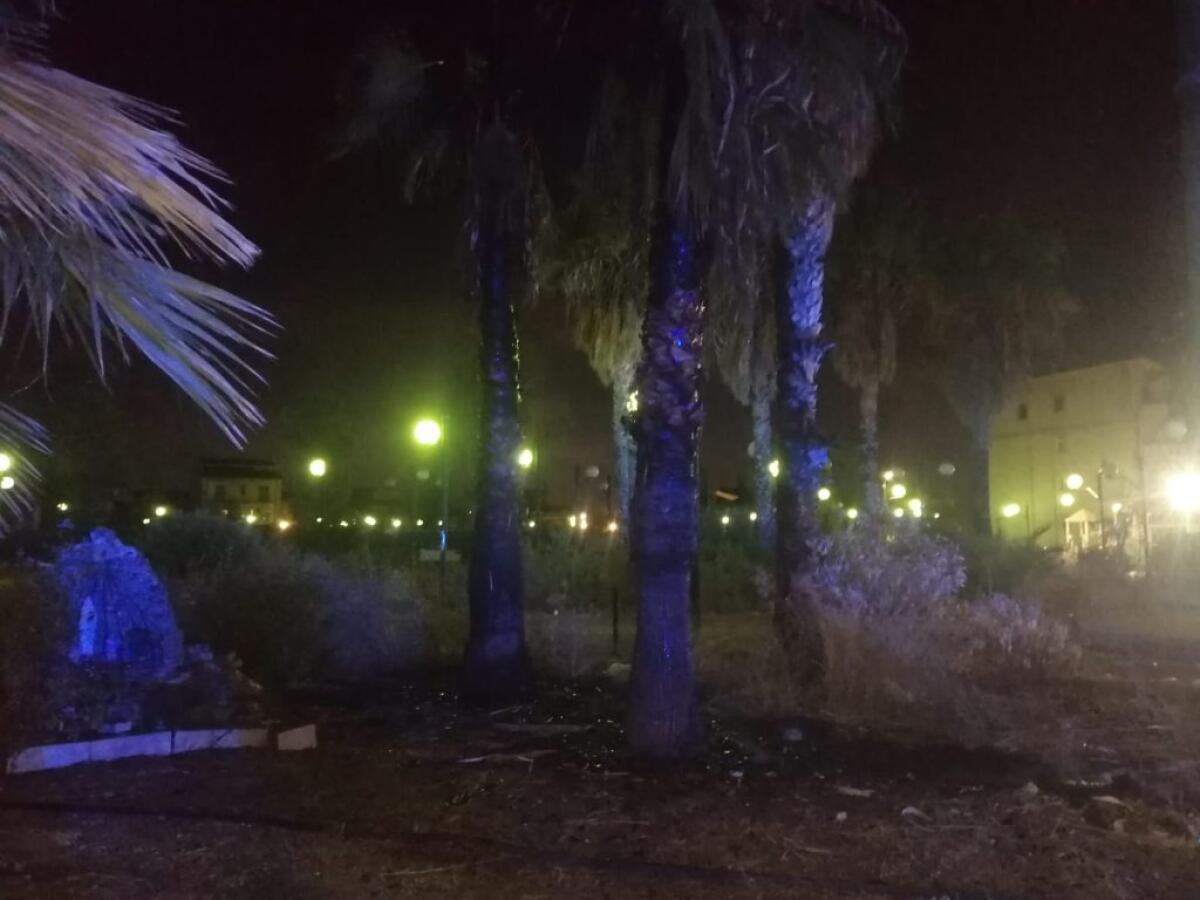 Incendio in via Picasso, fiamme danneggiano le palme: area verde in stato di abbandono - 