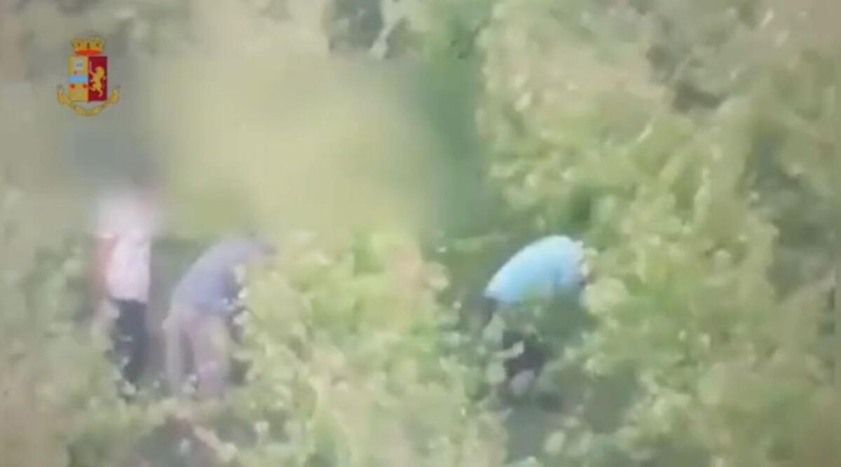 Cinque stranieri arrestati a Cagliari per sfruttamento del lavoro nero - 