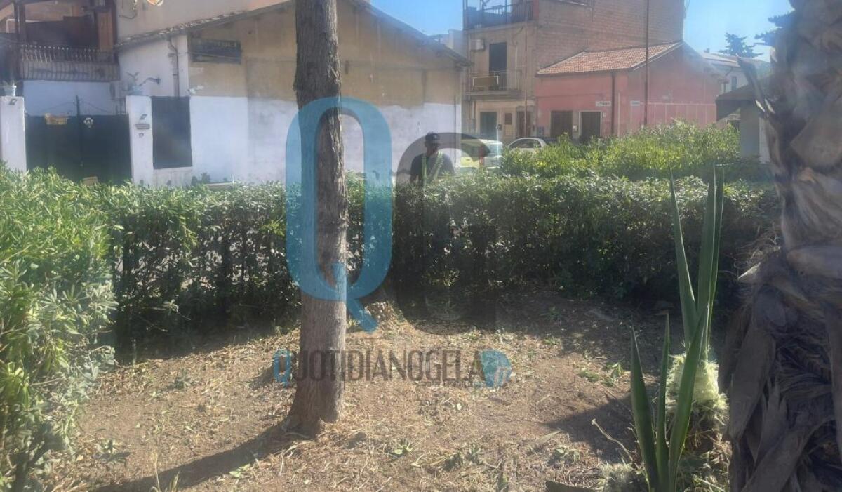 Partite le attività di pulizia nelle zone periferiche, interventi nell'area di Settefarine - 