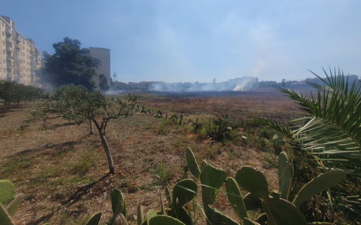 Rogo tra le palazzine popolari di Marchitello, in fiamme un'area verde - 