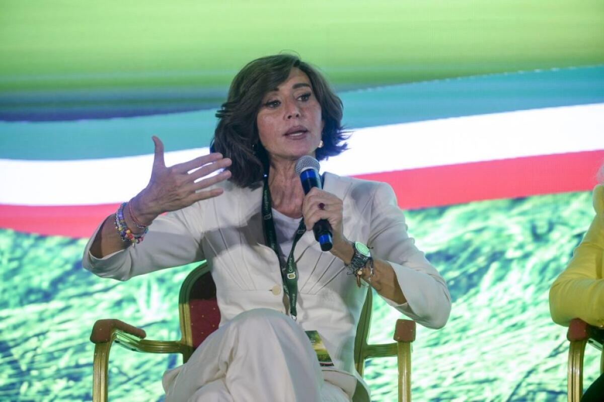 Università, Bernini “Apertura progressiva per iscrizioni a medicina” - 