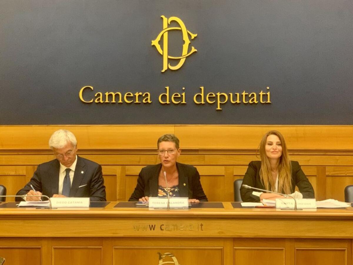 Professionisti sanitari, il 29-30 settembre a Rimini il 3° Congresso - 