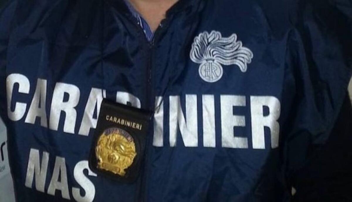 Irregolarità e condizioni igieniche non idonee, controlli Nas in due attività: c'è la sospensione - 