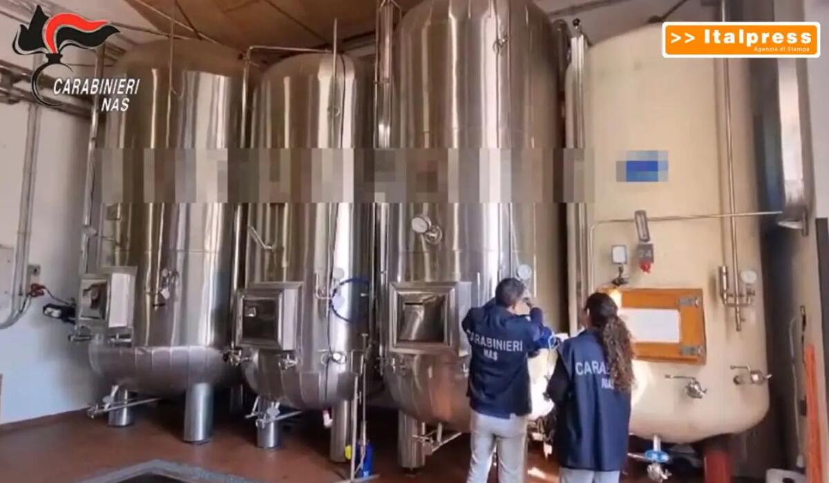 Controlli dei Nas, sequestrati 300 mila litri di vini e multe per 290 mila euro - 