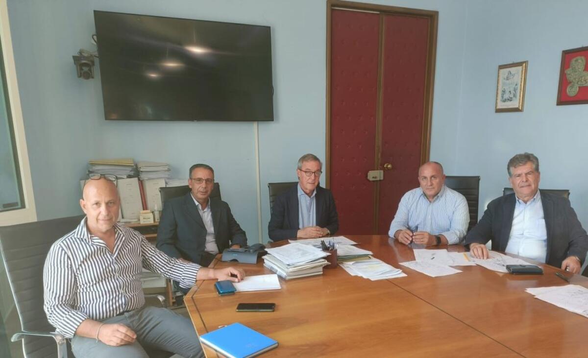 Collegamenti tra i musei e l'area archeologica, un sovrappasso e il progetto del parco "Levante" -