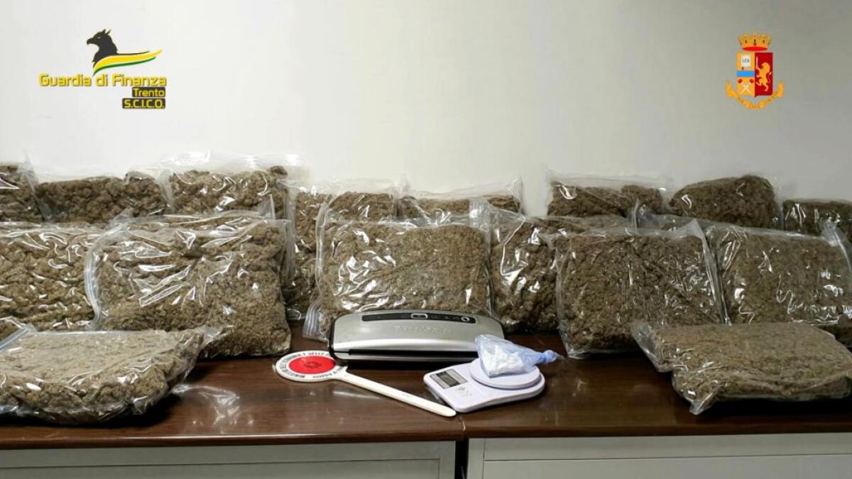Gdf di Trento smantella traffico di droga, 46 misure cautelari - 