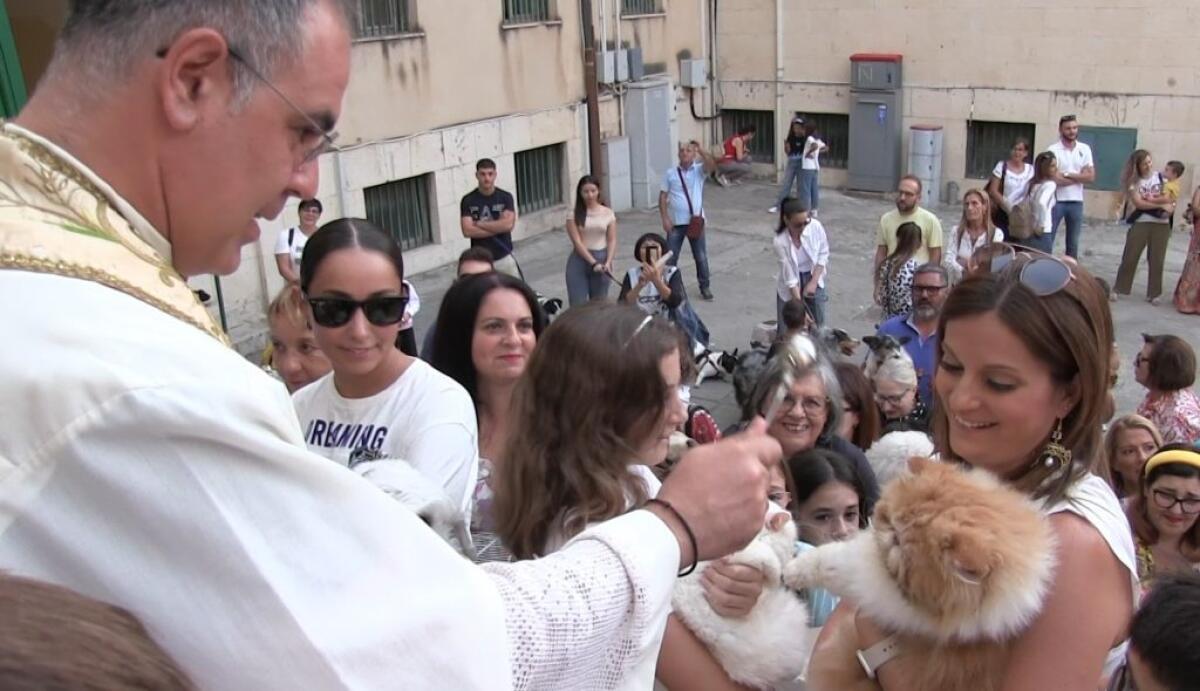 Benedizione degli animali nel nome di San Francesco -