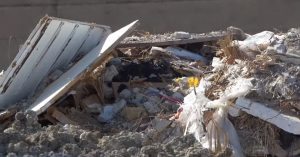 discarica-300x157.jpg