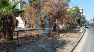 via-venezia-pulizia-avvio-300x168.jpg
