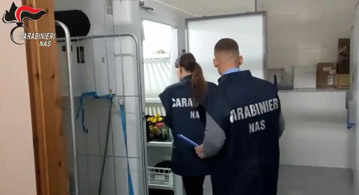 Controlli dei Nas nelle mense scolastiche, il 27% irregolari - 