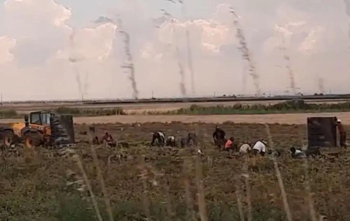 Sfruttamento del lavoro e caporalato, 16 indagati tra Caltanissetta e Agrigento - 