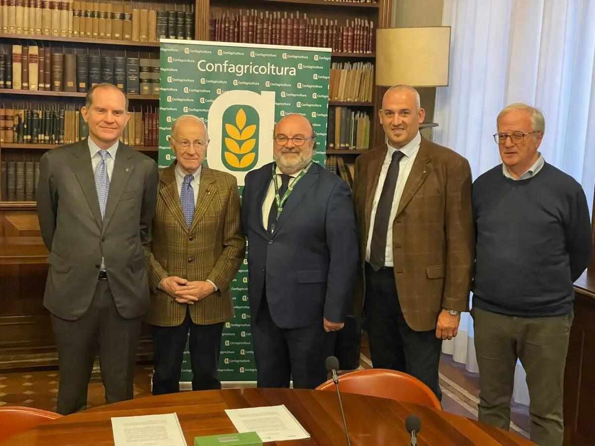 Olio Evo, accordo Confagricoltura-Unapol per slancio al comparto - 