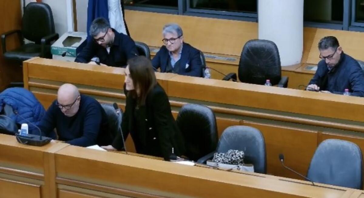 In consiglio approvate due variazioni di bilancio, servirà nuovo confronto su comitati di quartiere - Il presidente della commissione affari generali Marina Greco