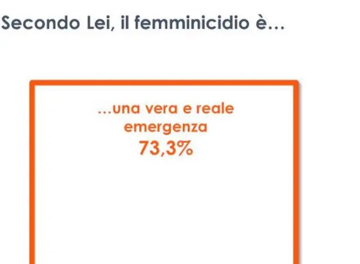 Femminicidi, una “vera e reale emergenza” per 3 italiani su 4 - 