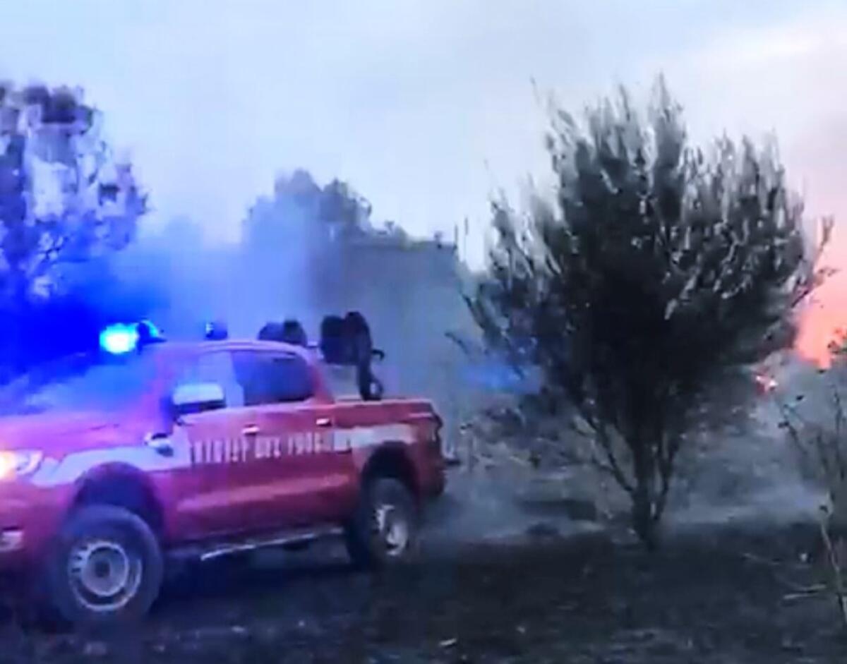 Biviere, "incendio doloso poteva bruciare tutta la Riserva": distrutta macchia mediterranea - 