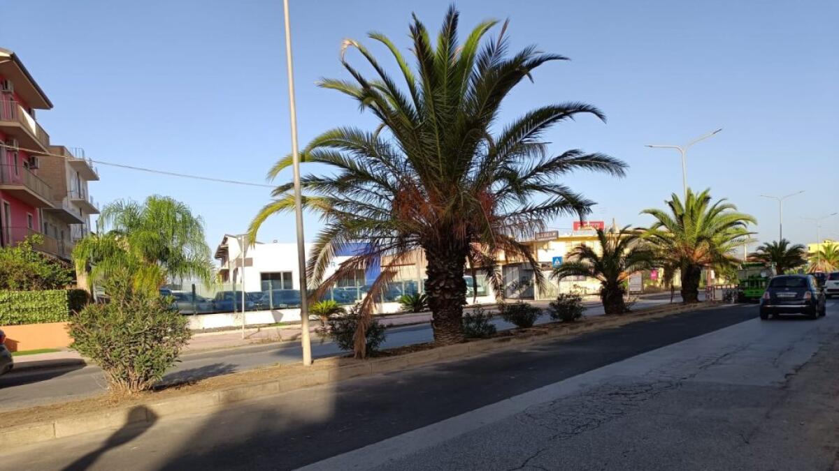 Pulizia in città, interventi in via Butera anche nelle aree verdi - 