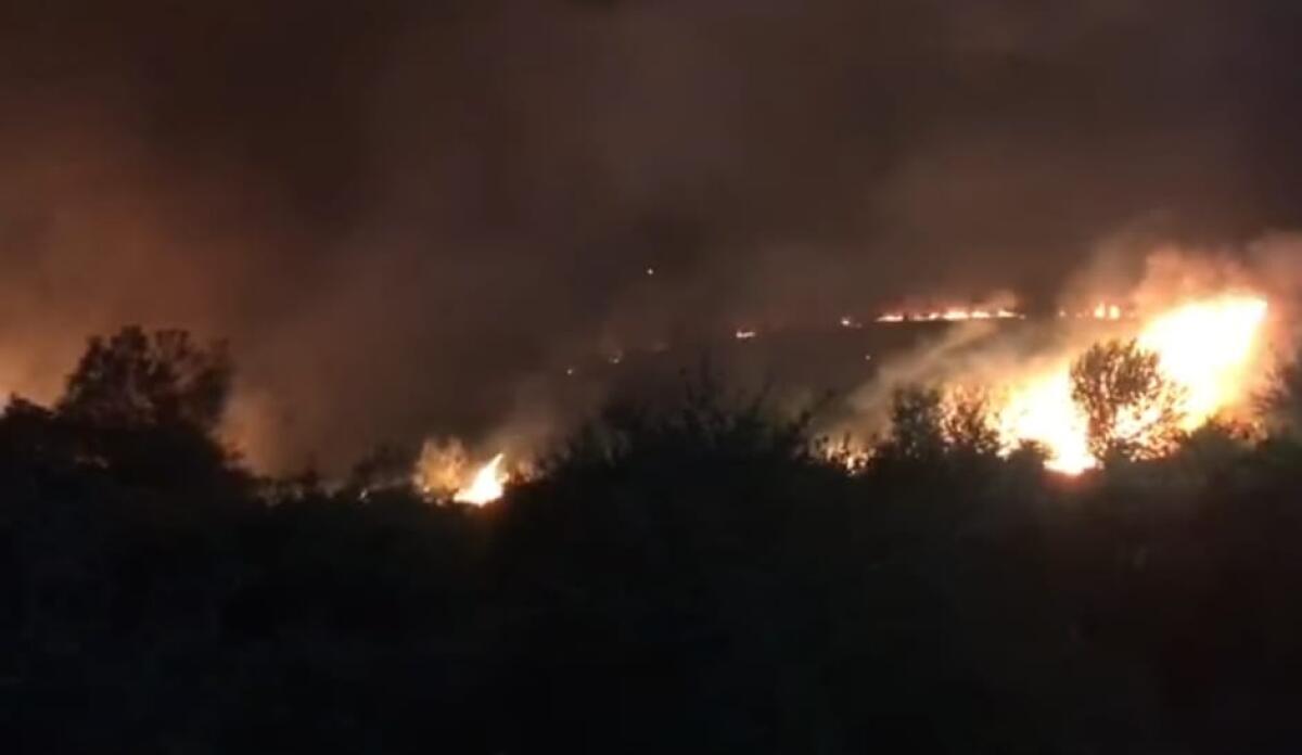 Fiamme nella Riserva Biviere, il fuoco si è sviluppato in una vasta area - Le fiamme si sono sviluppate in una vasta area
