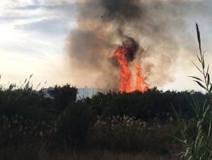 incendio-biviere-300x227.jpg