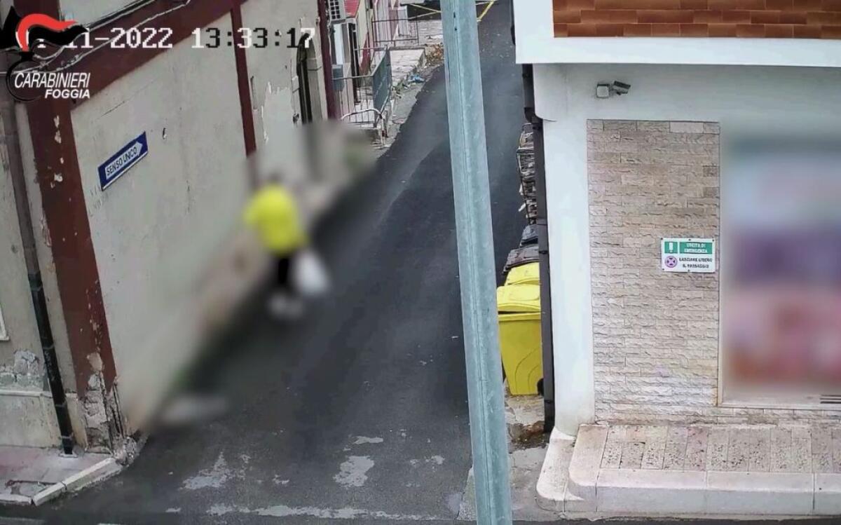 Stroncato traffico di droga nel Foggiano, 13 arresti - 