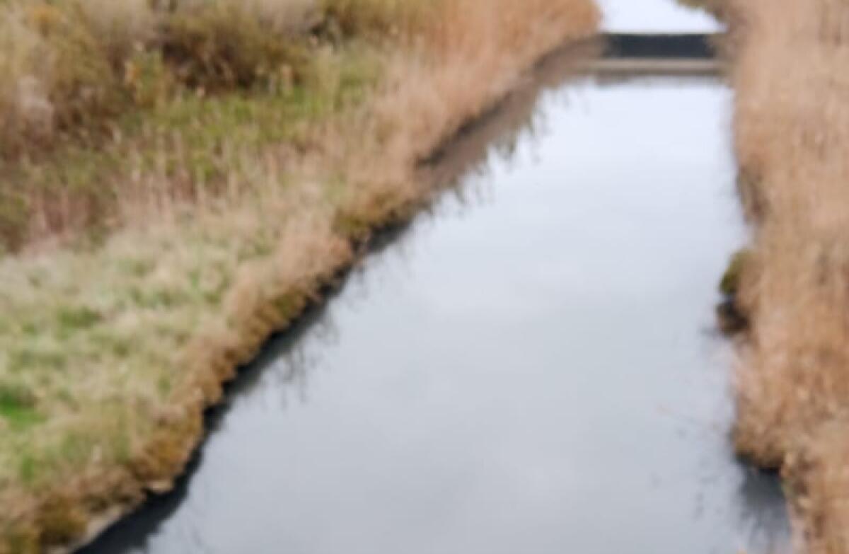Fiume Gela, ancora acque nere lungo il tratto che sfocia in mare - 