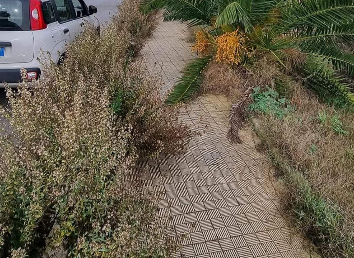 Cittadella, verde incolto ovunque, rifiuti e manto divelto: "Sarà presentato un esposto" - Una delle aree della Cittadella