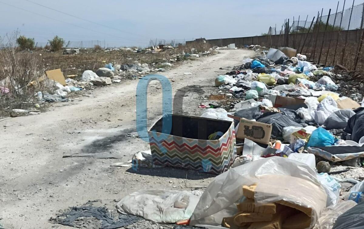 Il pascolo nell'area trasformata in discarica abusiva, nella zona rifiuti di ogni tipo - Una lunghissima scia di rifiuti deturpa l'intera strada