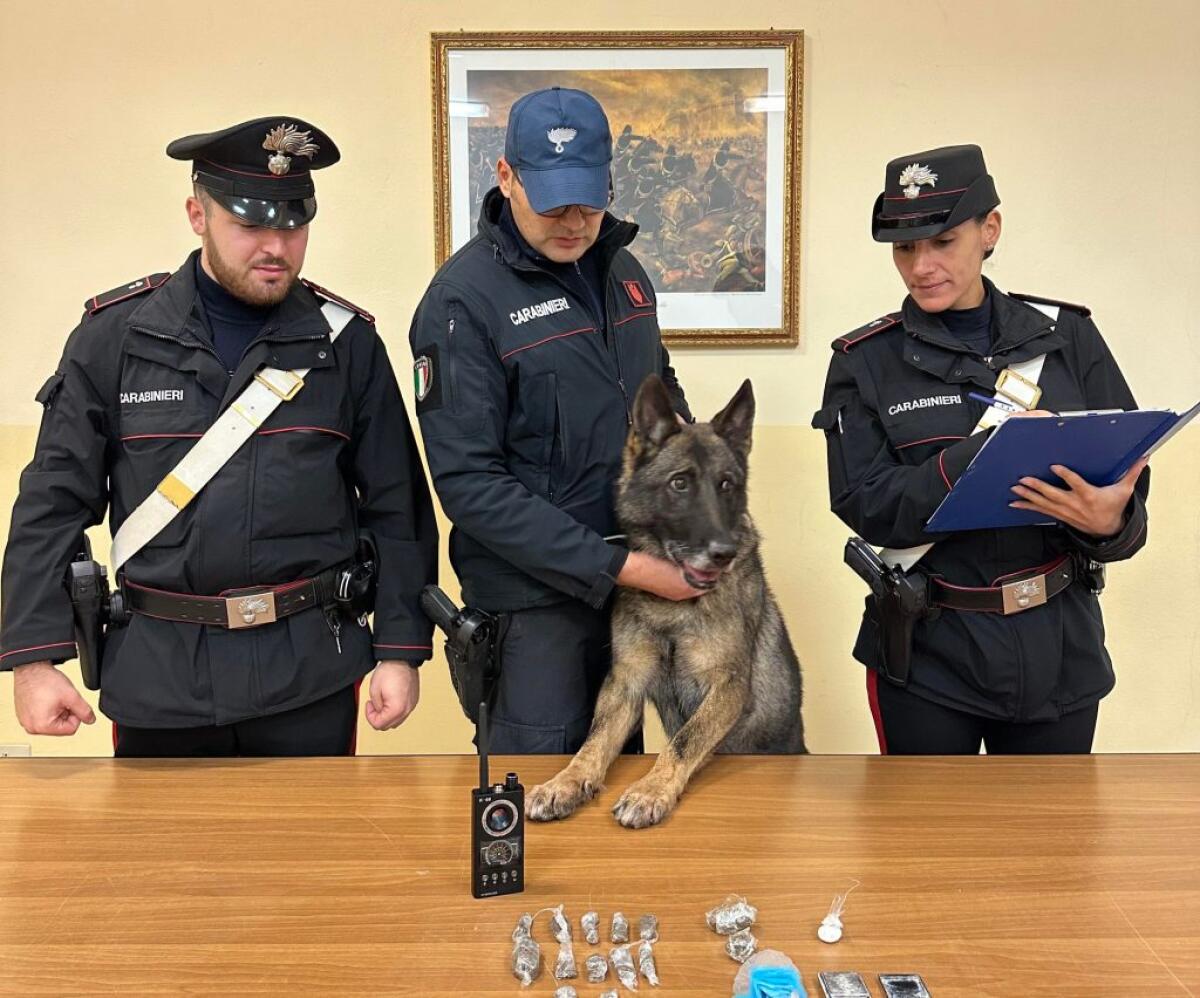 In casa aveva cocaina, hashish e marijuana: giovane arrestato, individuato anche minore -