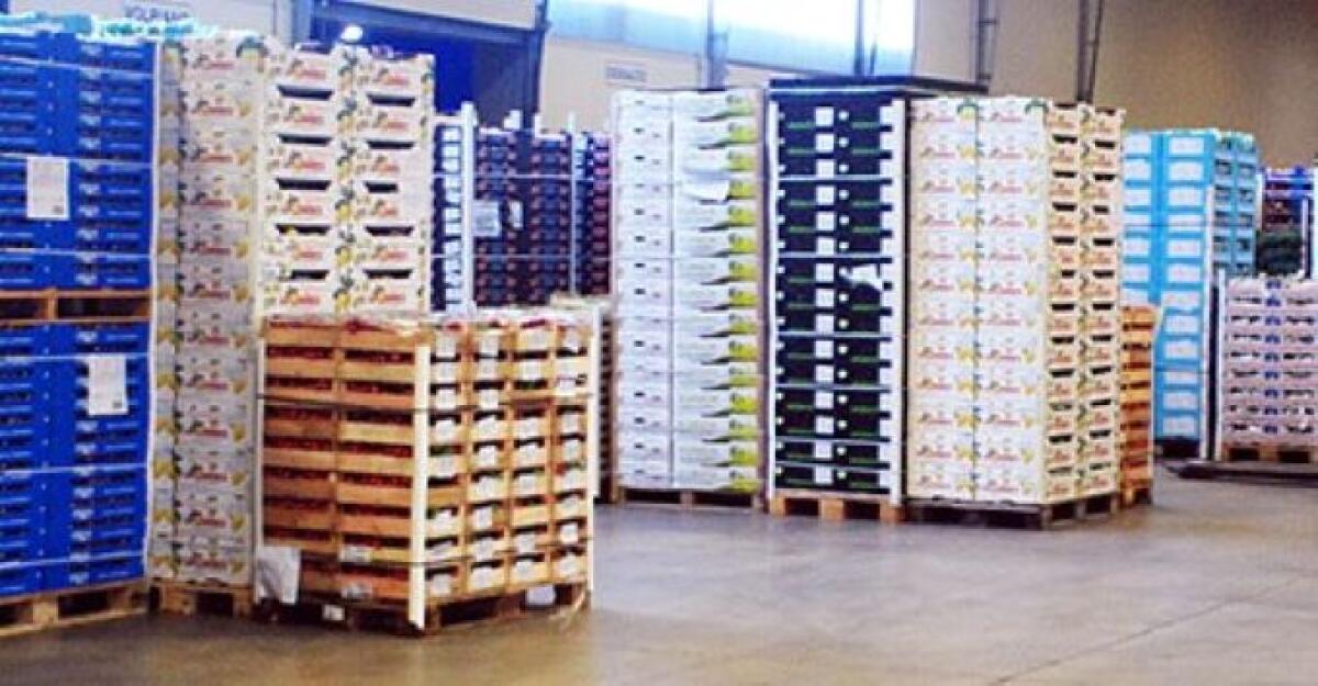 Rischi di infiltrazioni mafiose, interdittiva ad un'azienda di ortofrutta - 