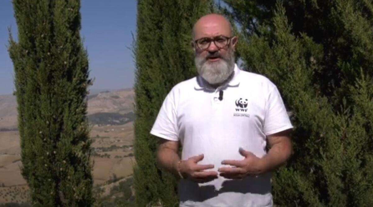 Discariche abusive, incendi e randagismo, Wwf: "Tutti i Comuni sono inadempienti" - Ennio Bonfanti