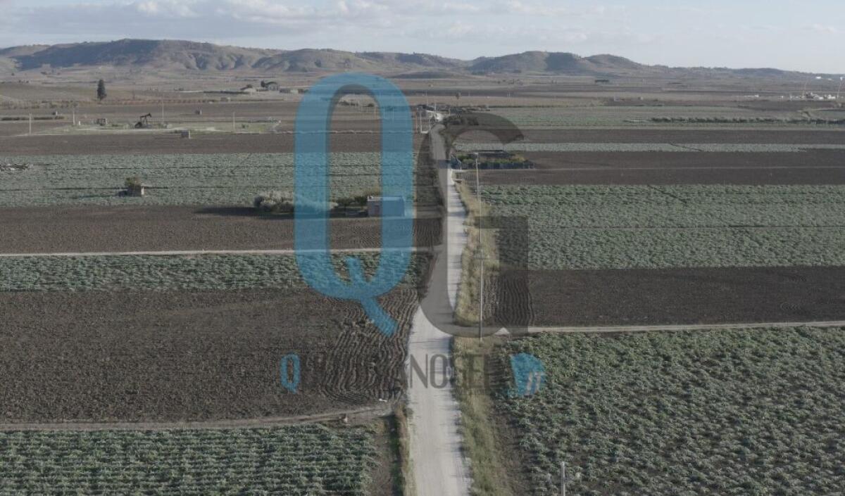 "Produzioni agricole al collasso, compresi i carciofi", allarme dalle campagne: "L'acqua non c'è" - Un'area rurale della città