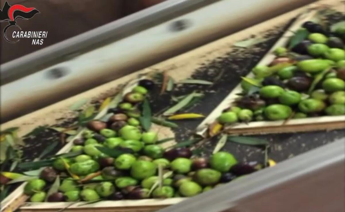 Controlli Nas in 1250 aziende olearie, sequestri a Messina e nel Ragusano - 