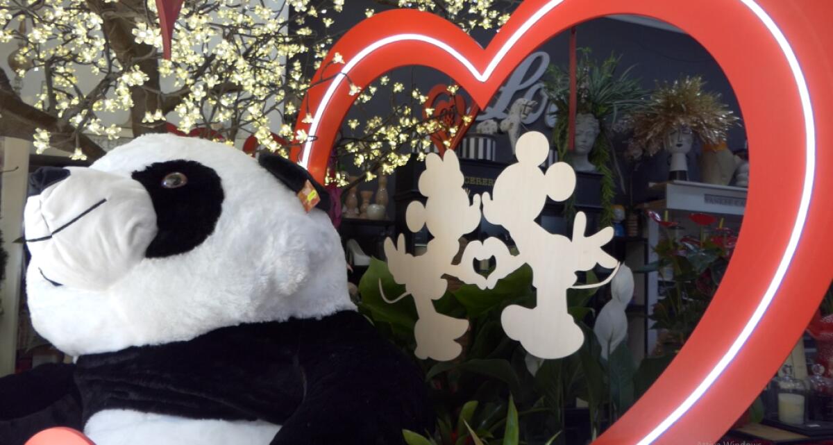 San Valentino, regali e fiori non solo per le coppie - 