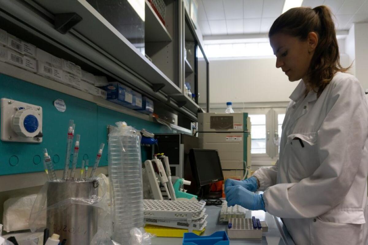 Fondazione Cariplo lancia nuovi bandi di ricerca per il 2024 - 