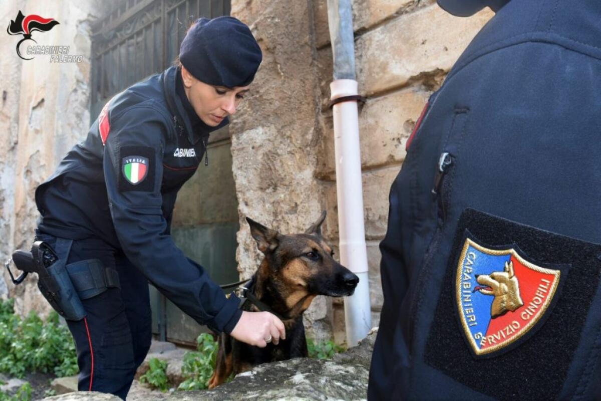 Palermo, 25 chili di droga sequestrati e 6 arresti - 