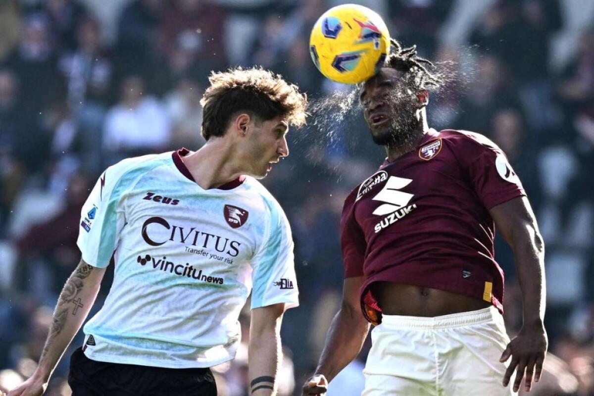 Nessun gol e poche emozioni, Torino-Salernitana 0-0 - 