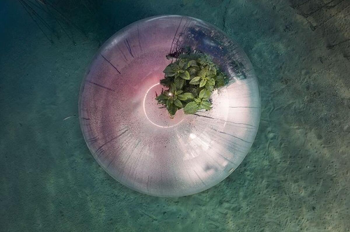 Con Locatelli, Cariplo porta in mostra i progetti di economia circolare - 