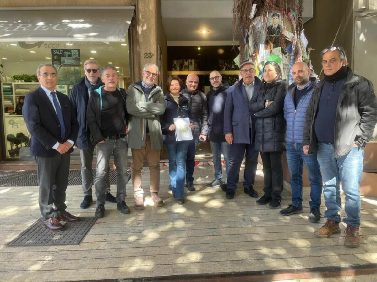 Una task force di agronomi per curare l’albero Falcone a Palermo - 