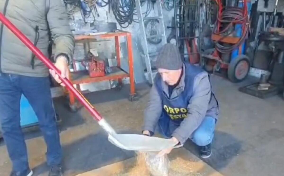 Controlli della Regione sul grano estero in arrivo a Pozzallo - 