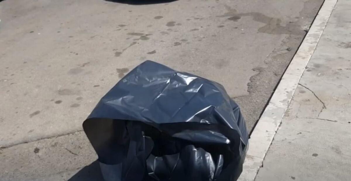 Rifiuti abbandonati senza rispettare le fasce di conferimento, nuove sanzioni - 