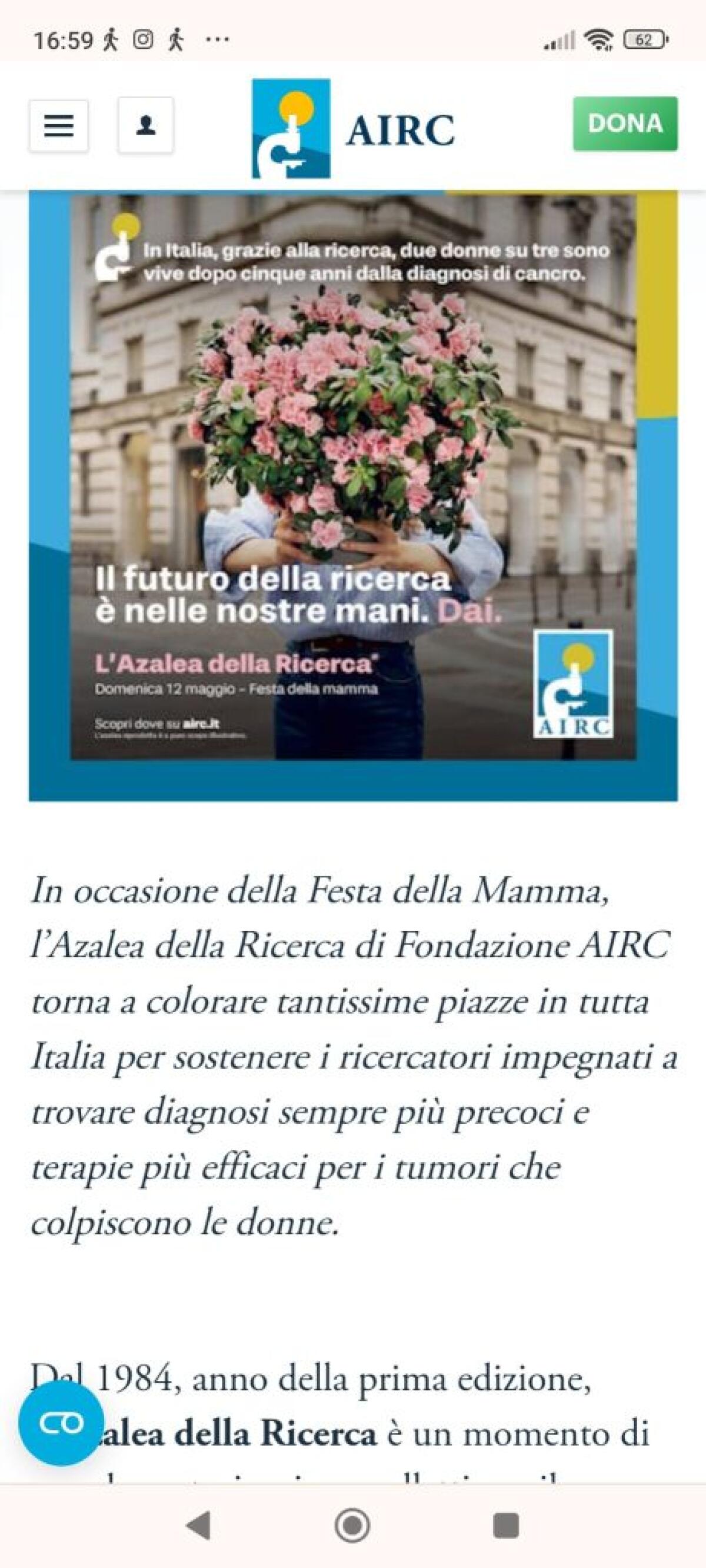 Festa della Mamma: torna in piazza Umberto I l'Azalea della Ricerca AIRC - 