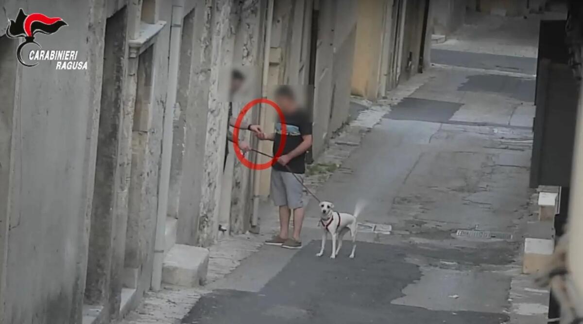 Rete di spacciatori di droga disarticolata a Ragusa, 9 misure cautelari - 