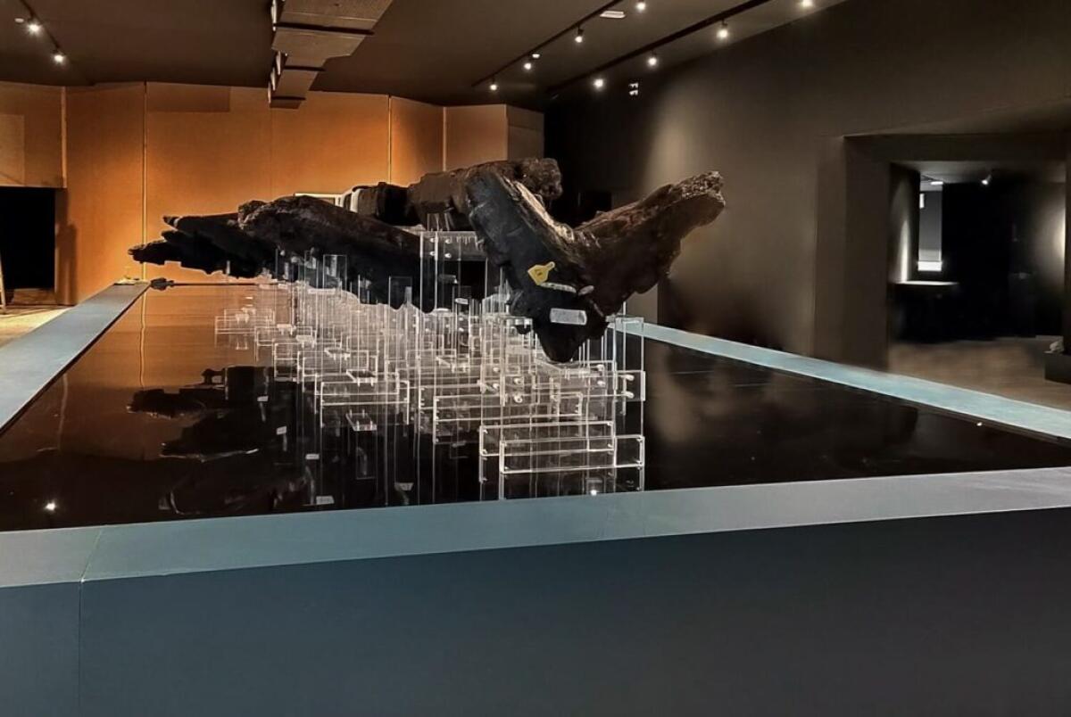 "Sempre sposato battaglie Mulè", Greco: "Passi in avanti ma mi aspettavo di più dai parlamentari" - Resti della prima nave arcaica che attendono di essere esposti nel museo di Bosco Littorio ancora mai avviato