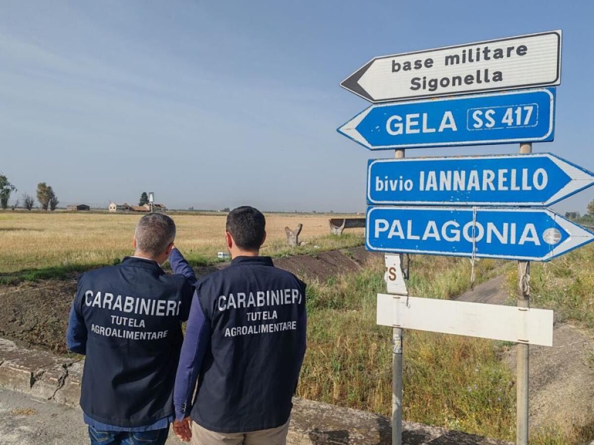 Truffa ai danni dell’UE, sequestrati beni per oltre 441 mila euro - 