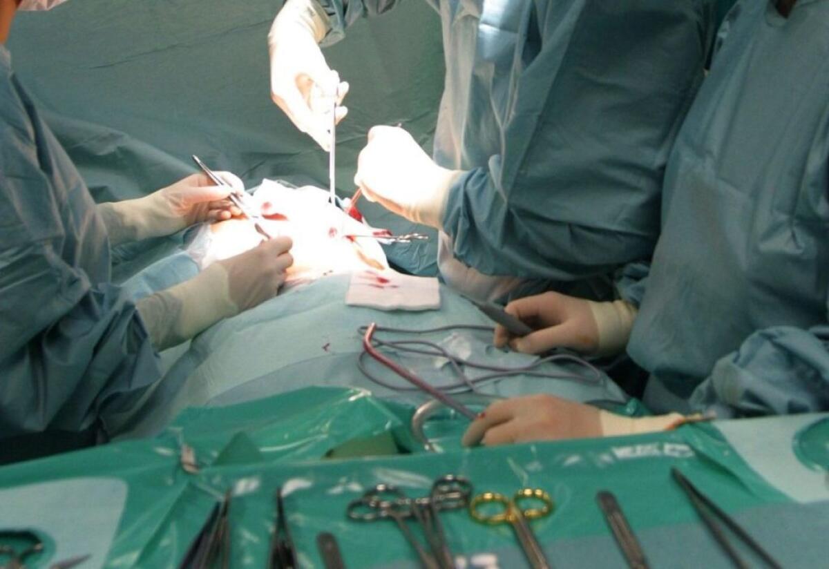 Eseguito un prelievo multiorgano all’Arnas Garibaldi di Catania - 